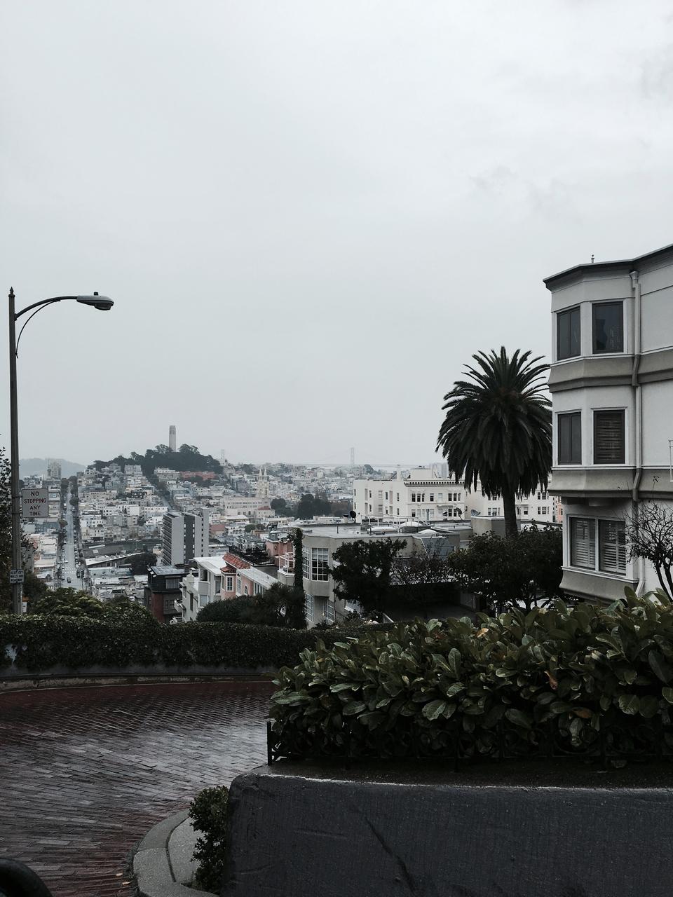 California Dreaming: San Francisco & Napa Valley